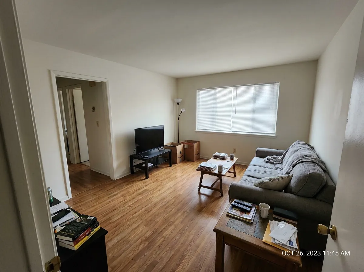 Before: the living room as photographed